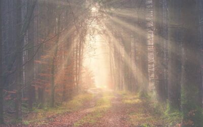 Natural Healing: Trusting God in Your Health Journey